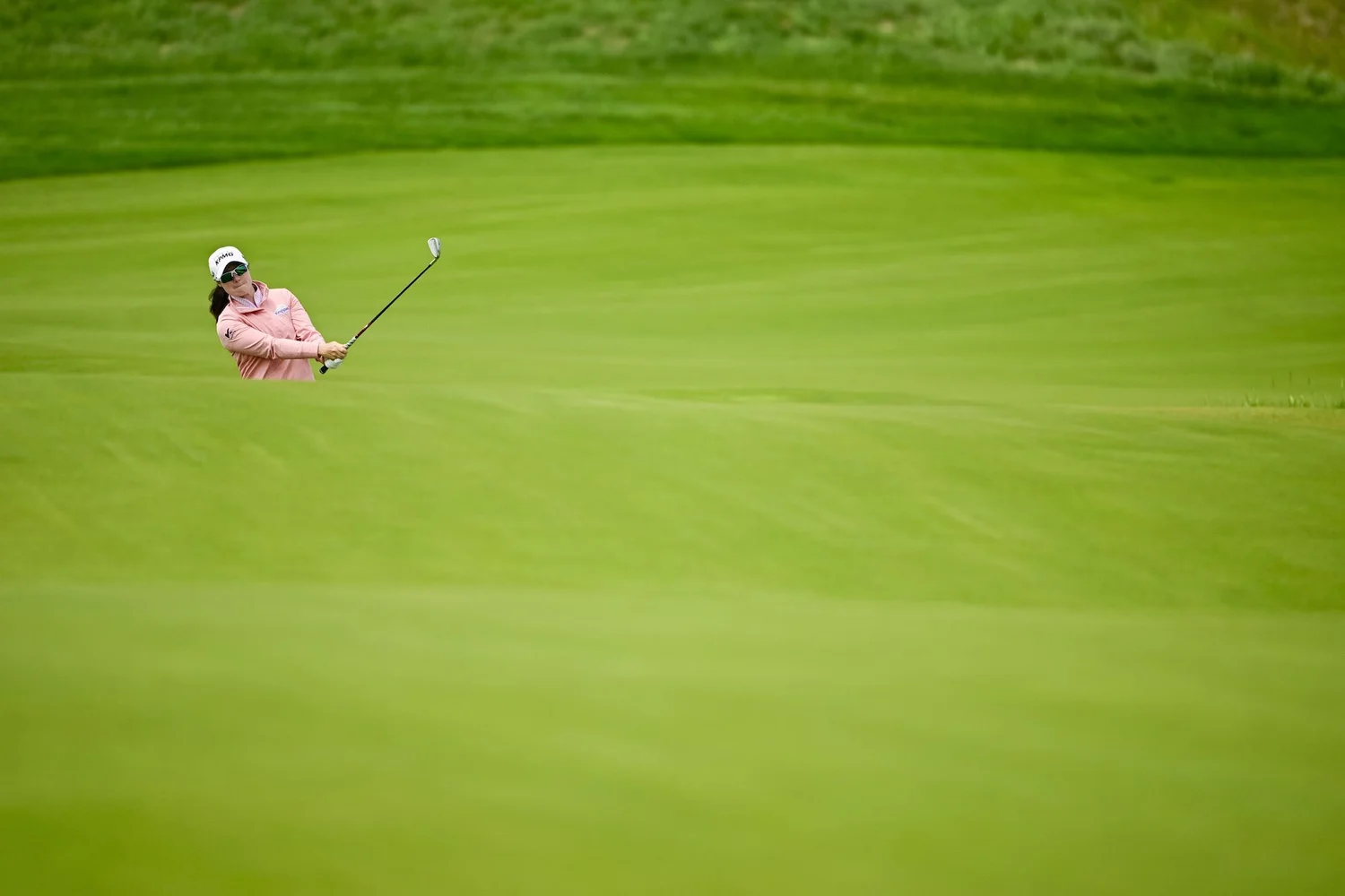 Maguire and Walsh Miss Cut for Second Straight Week at Ford Championship